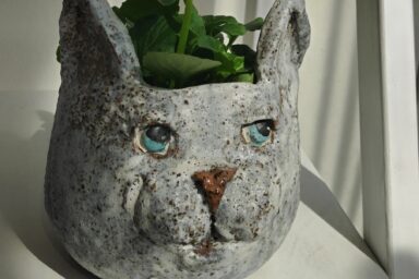 &quot;Pikku kisu&quot;