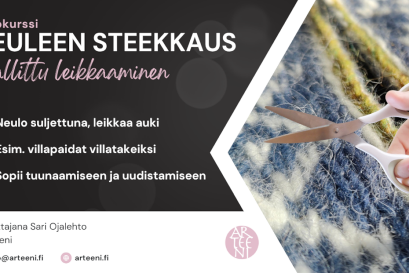 steekkaus-kurssin mainos