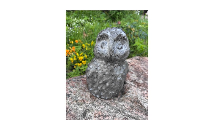 Pöllö3